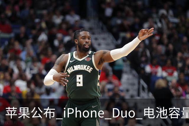 苹果公布 iPhone Duo 电池容量！还有专属功能